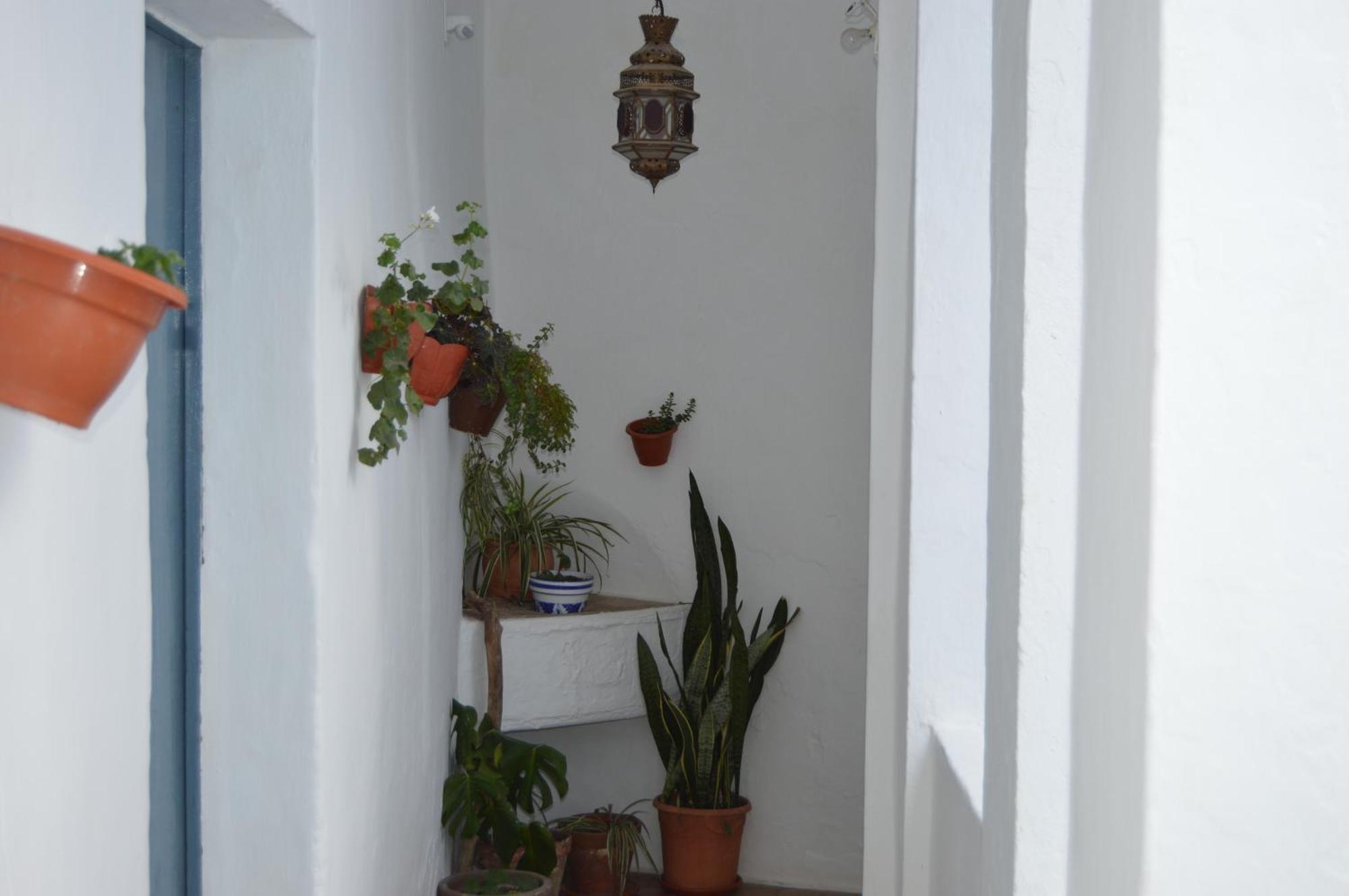 Apartamento Nuestra Casa En Vejer Vejer de la Frontera Exterior foto